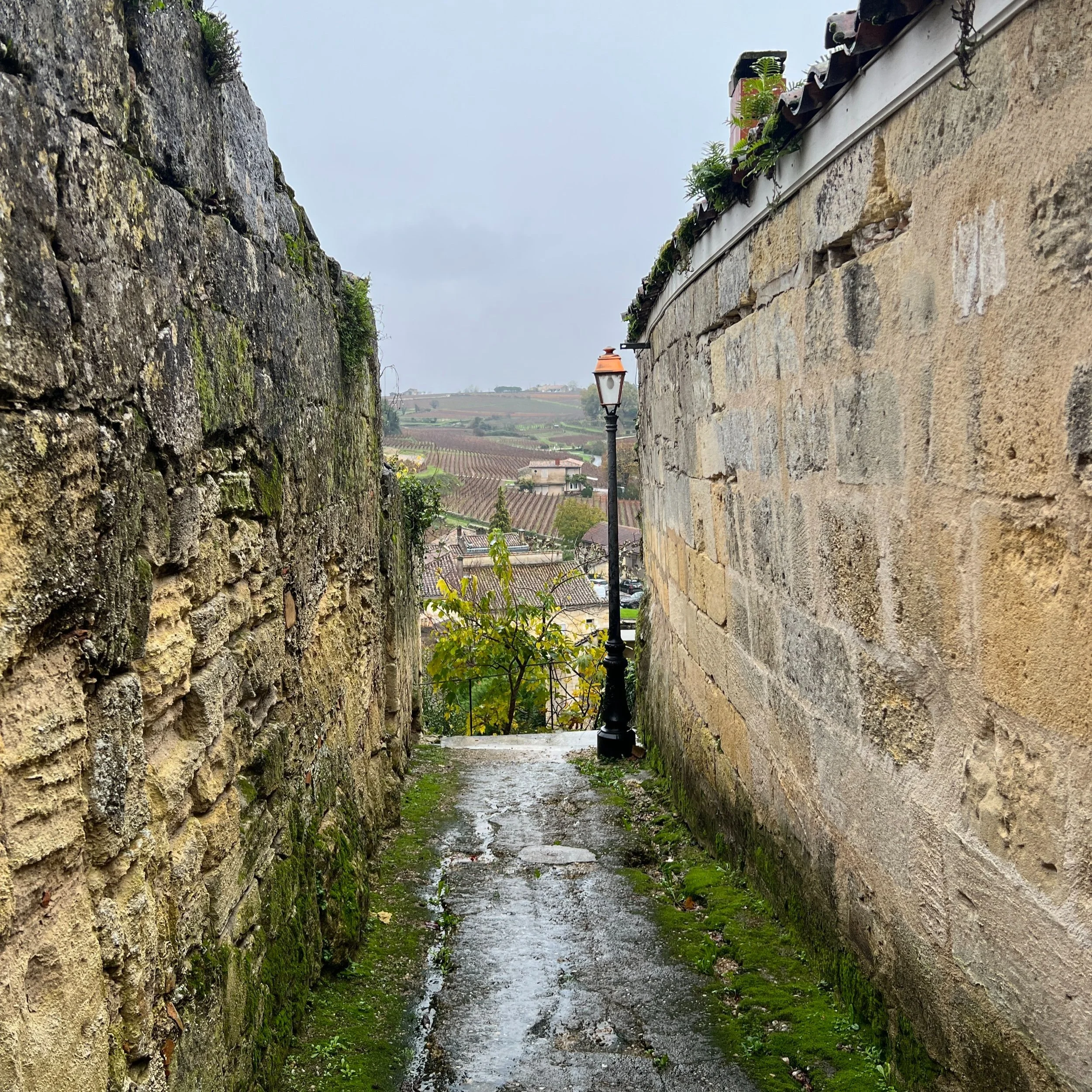 log 74: bordeaux