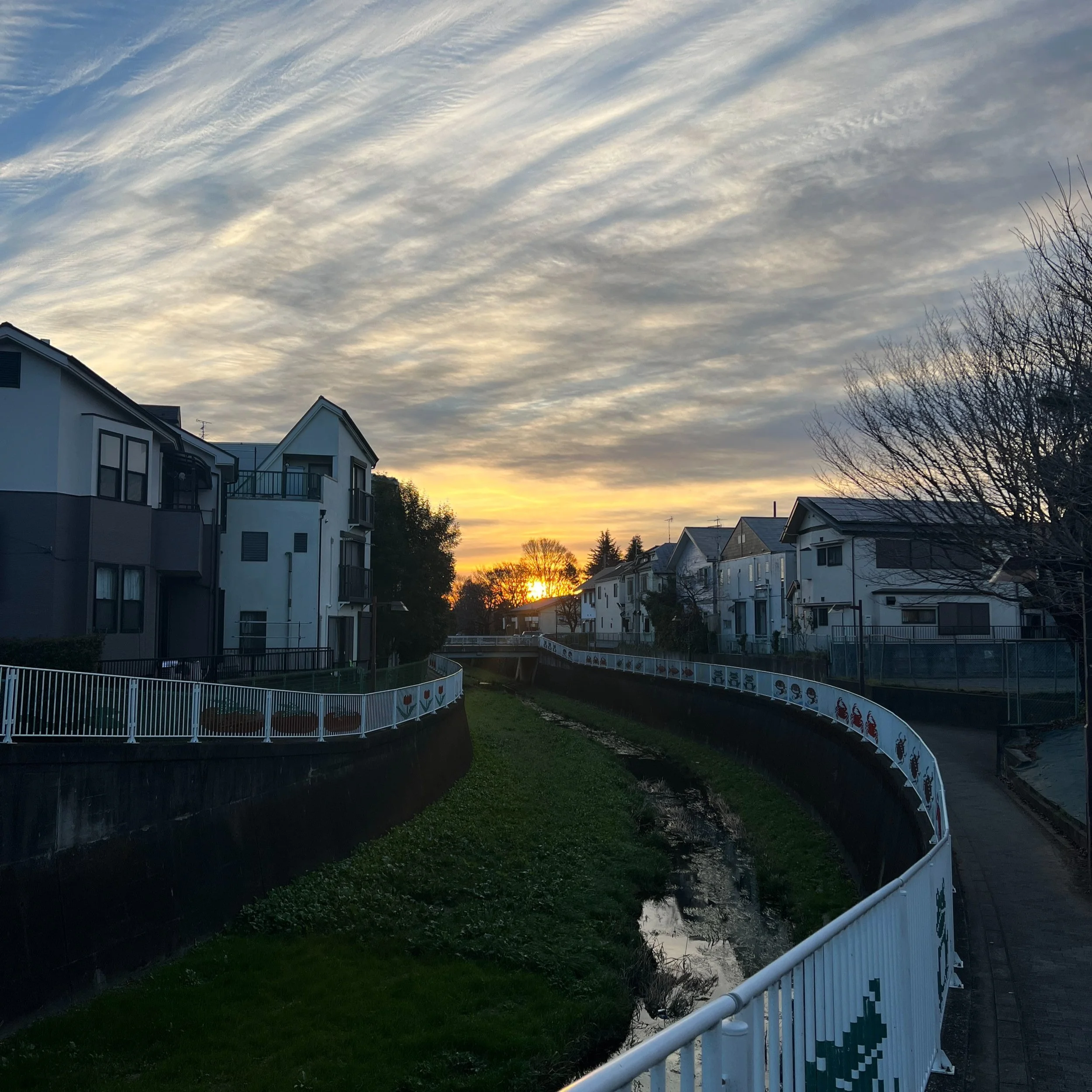 log 78: japan