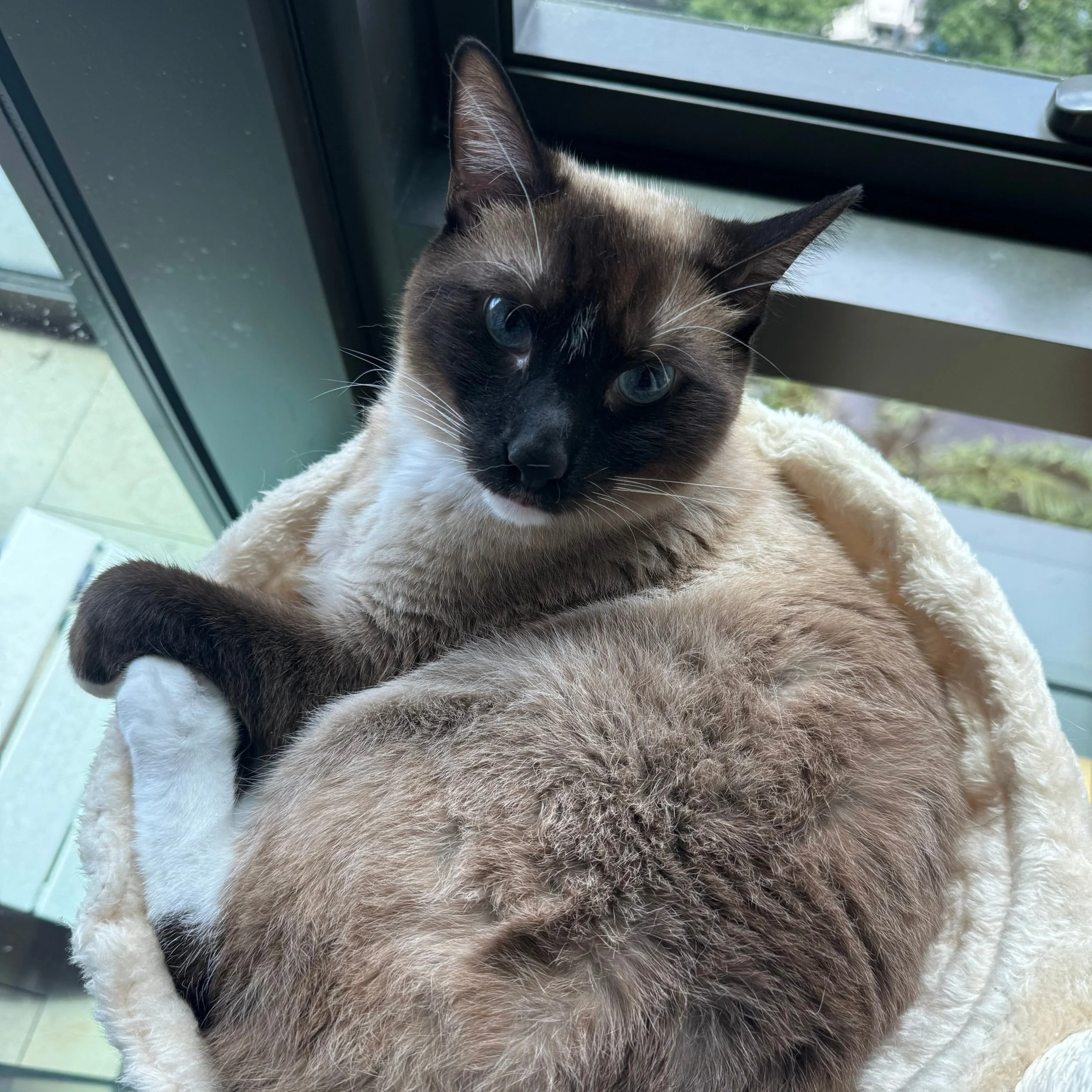 log 135: rest