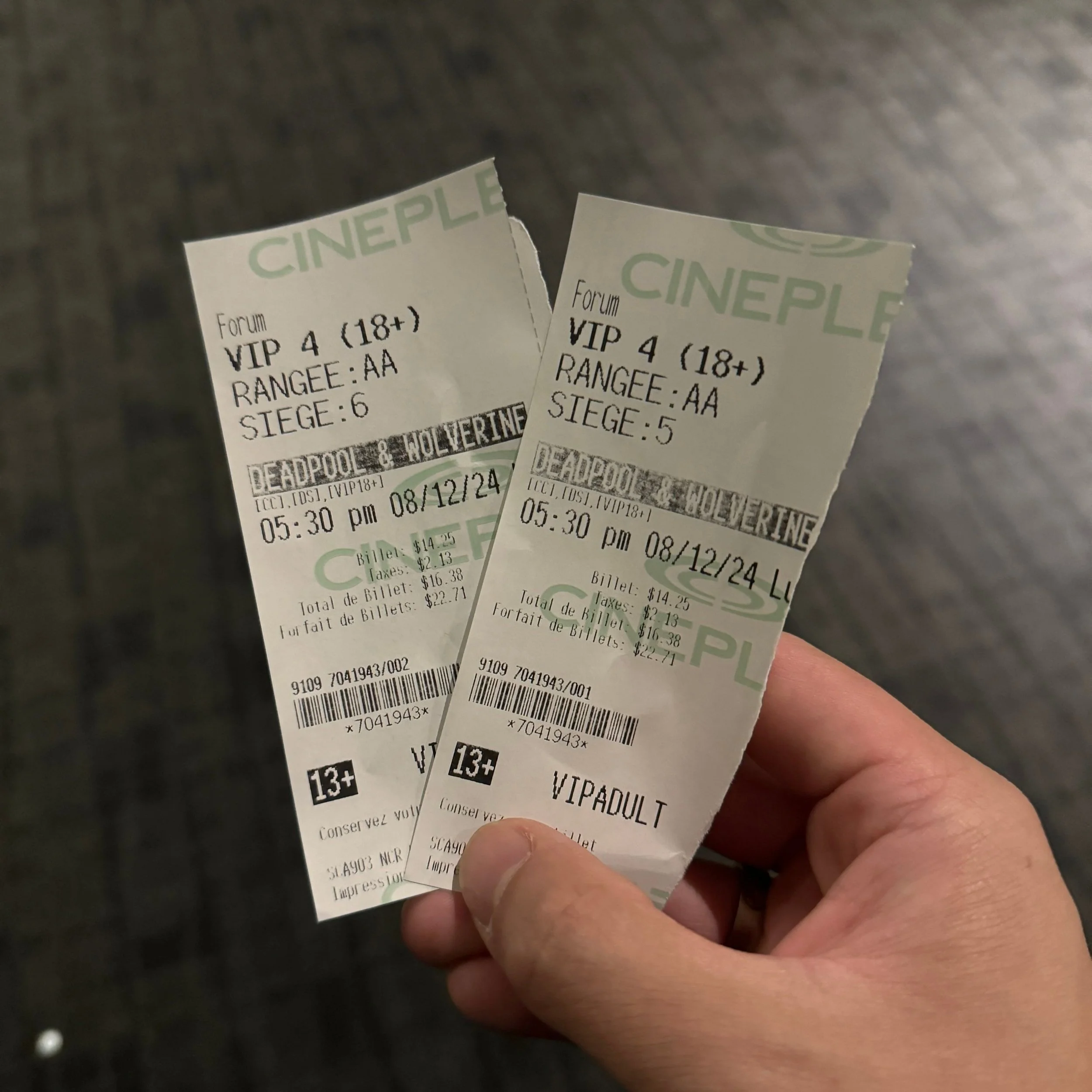 log 146: montreal