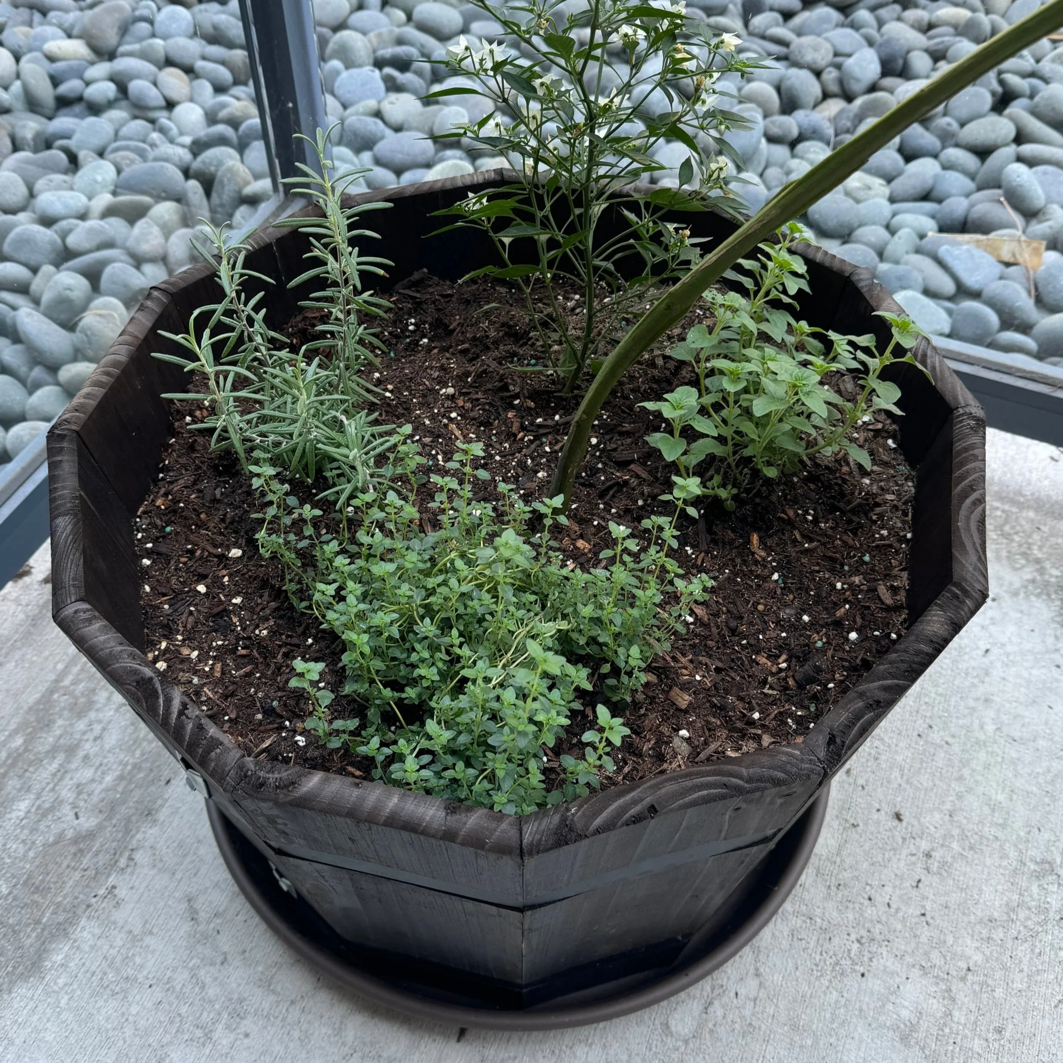 log 148: herbs