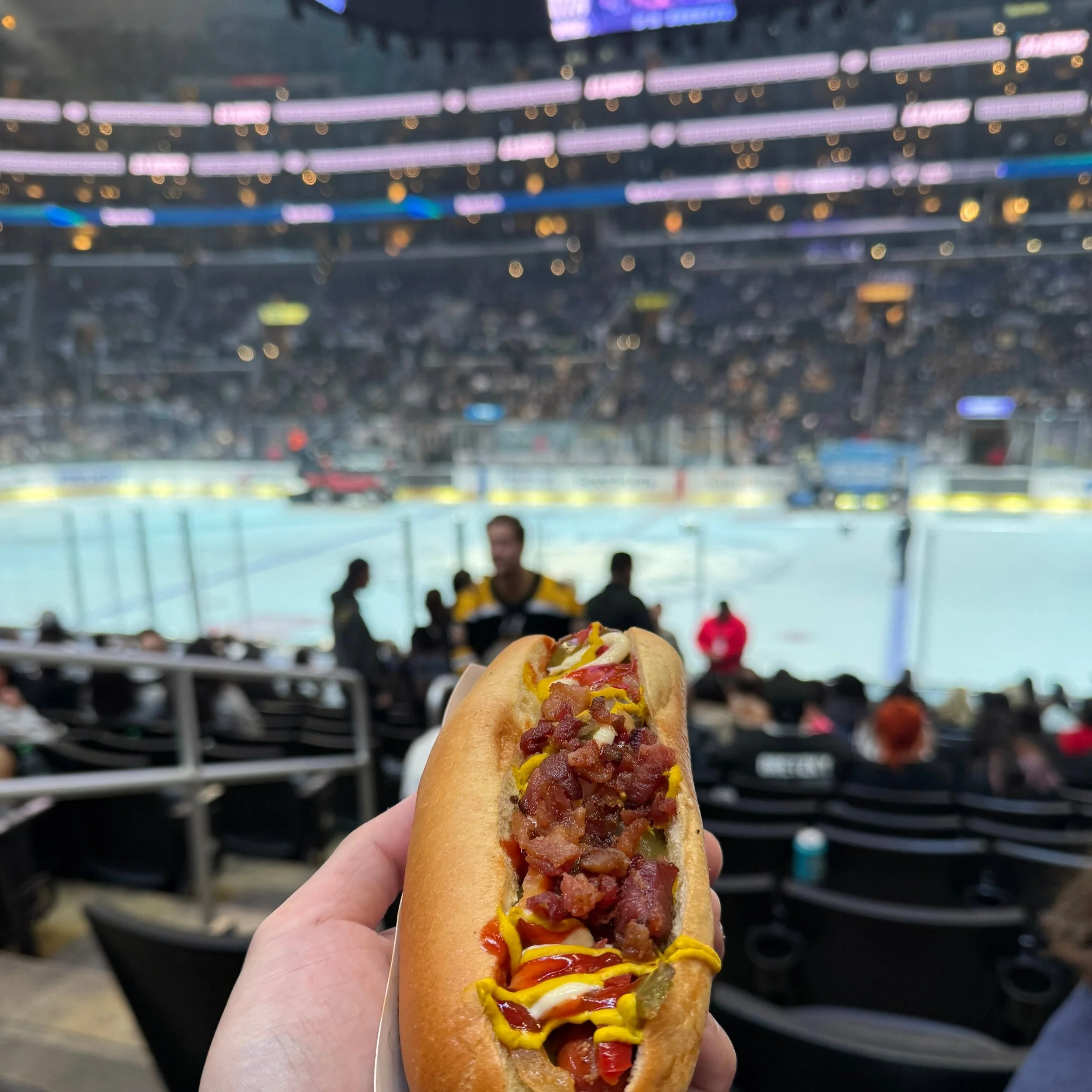 log 212: boston