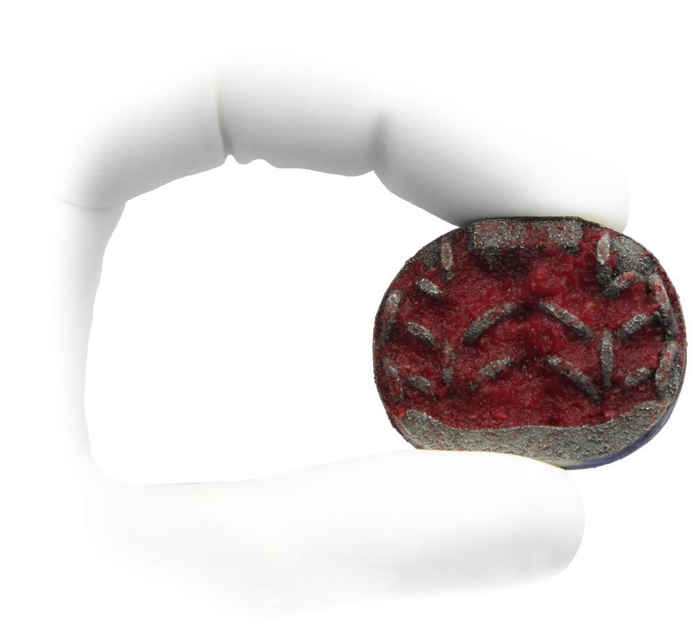 Matrix Spine Plug In InFill AFM Advanced Fusion Matrix Orthobiologic — Camber Spine Med Tech