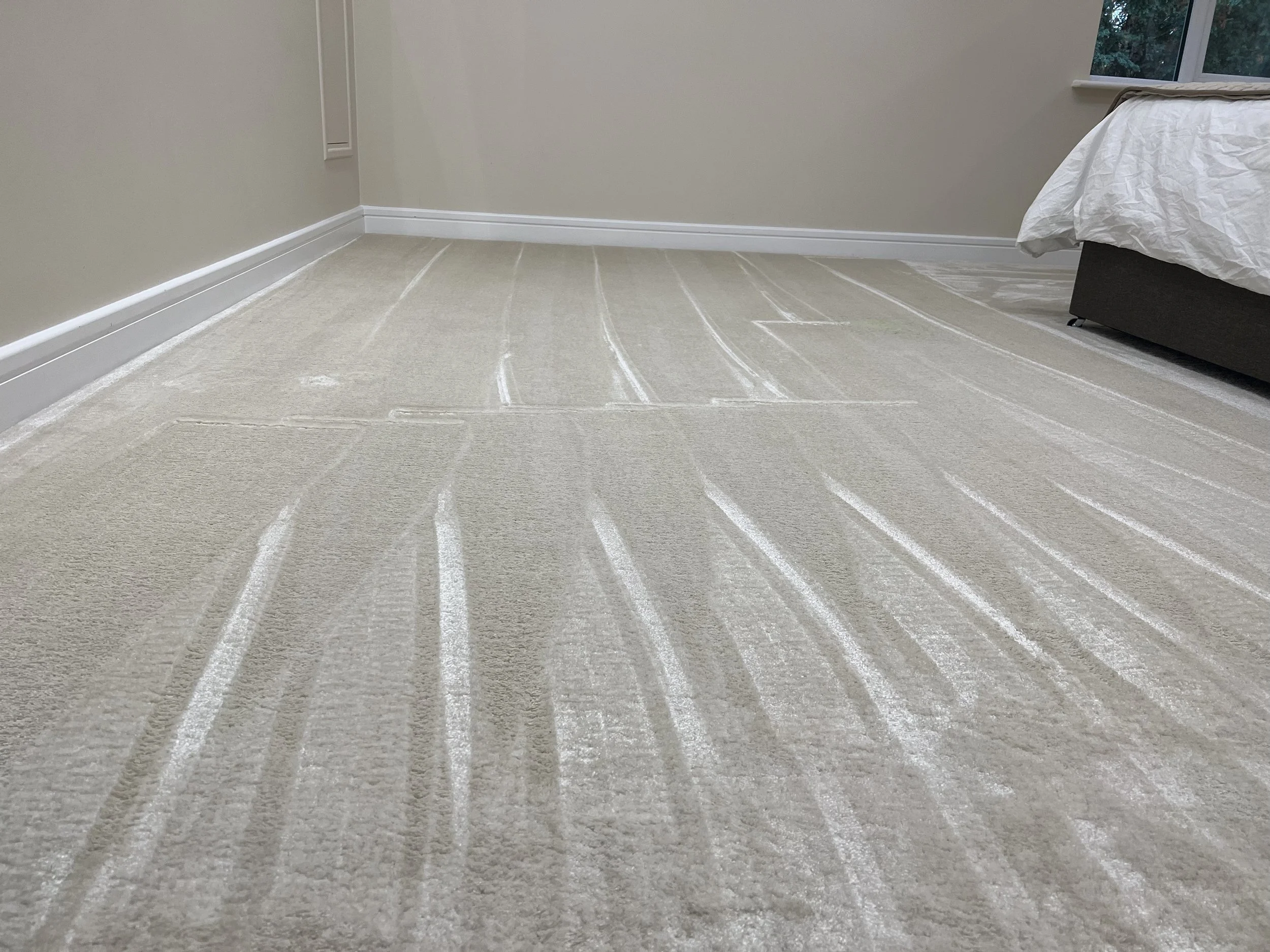 Derby Carpet cleaning service.jpg