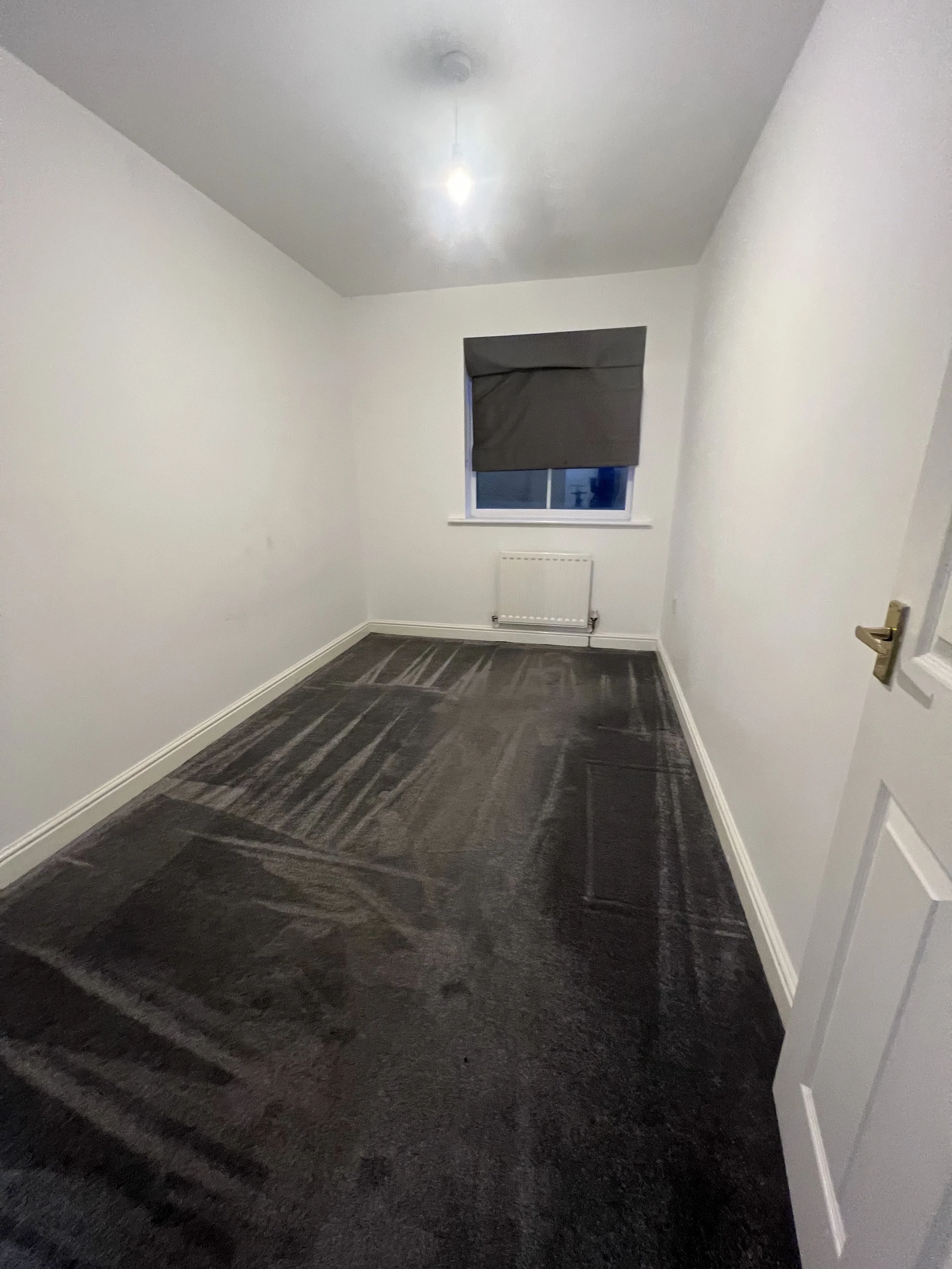 carpet cleaning derby