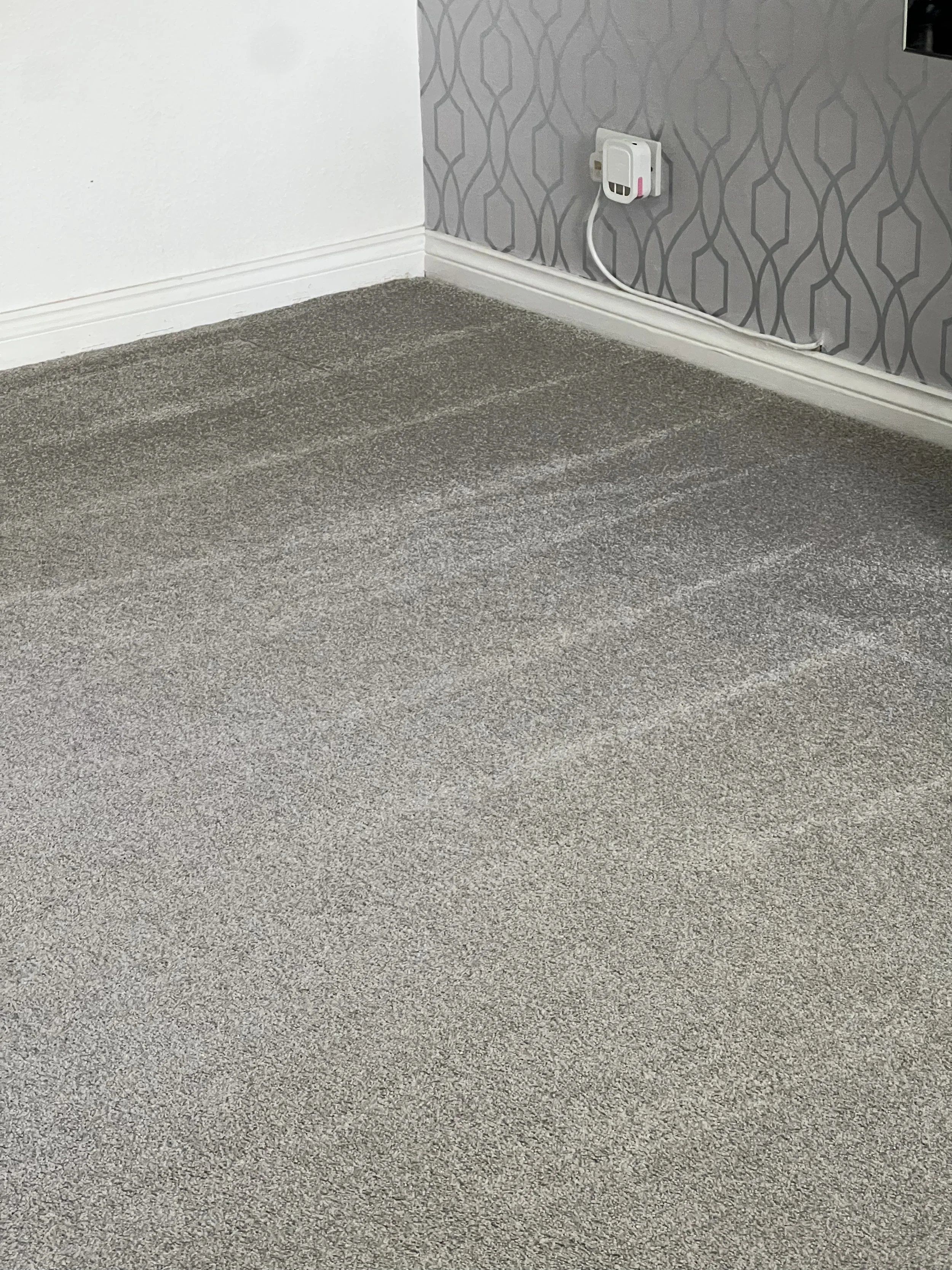 Carpet cleaner near me Derby .jpg