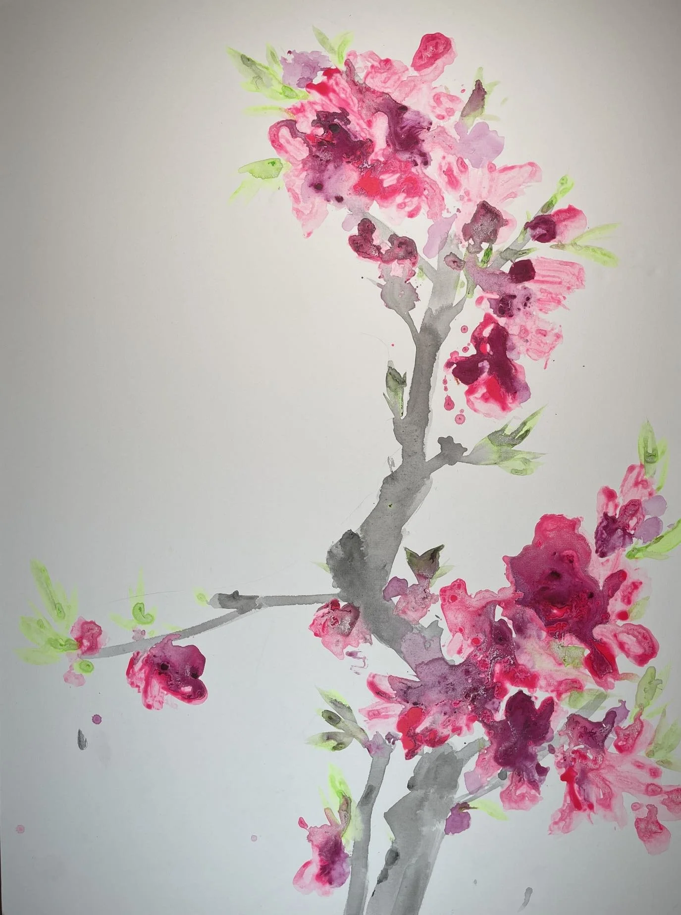 WeChat Image_20230209193932.jpg