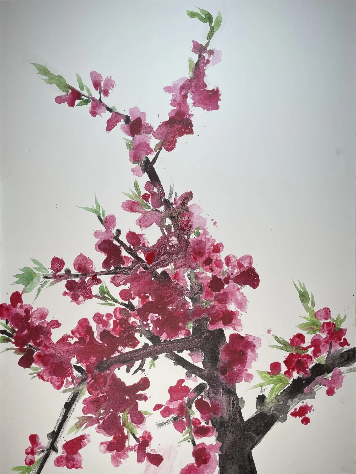 WeChat Image_20230209193950.jpg