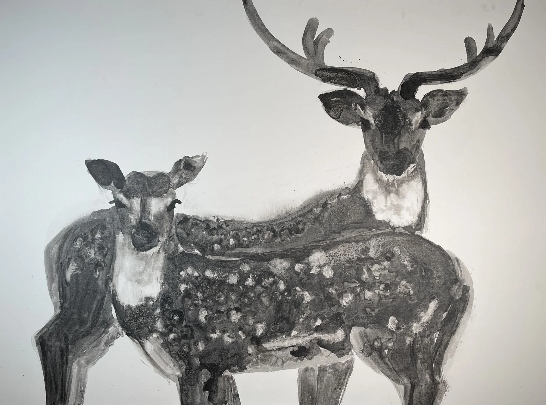 WeChat Image_20230209193939.jpg