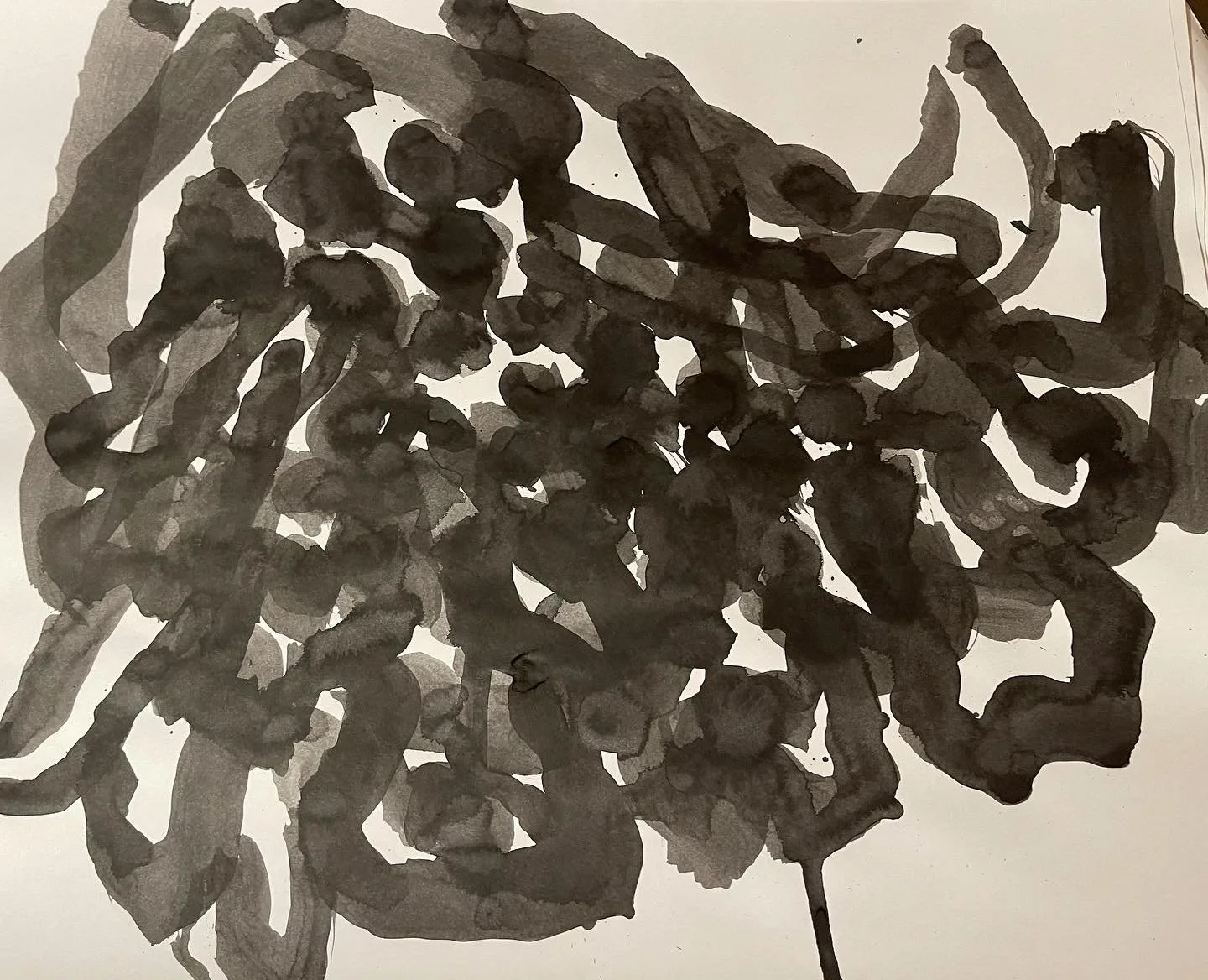 91A020D6-E93A-43A6-B667-1AF4124AE07D.jpg