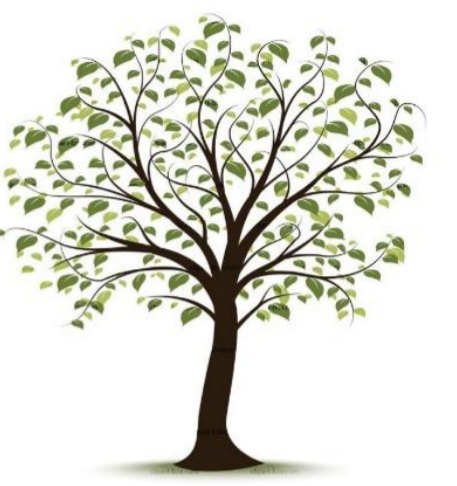 Native Tree Replenishment Project for West Towson and Southland Hills