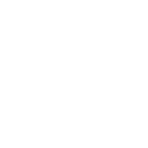 Labyrinth Coaching Areas of Specialization - Learning Boundries and Assertiveness