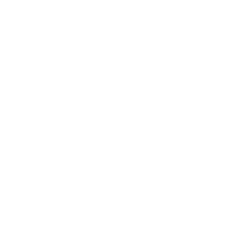 Labyrinth Coaching Areas of Specialization - Academic Coaching