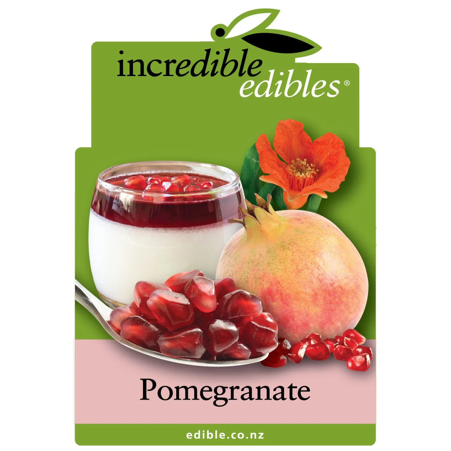 Pomegranate Granatum