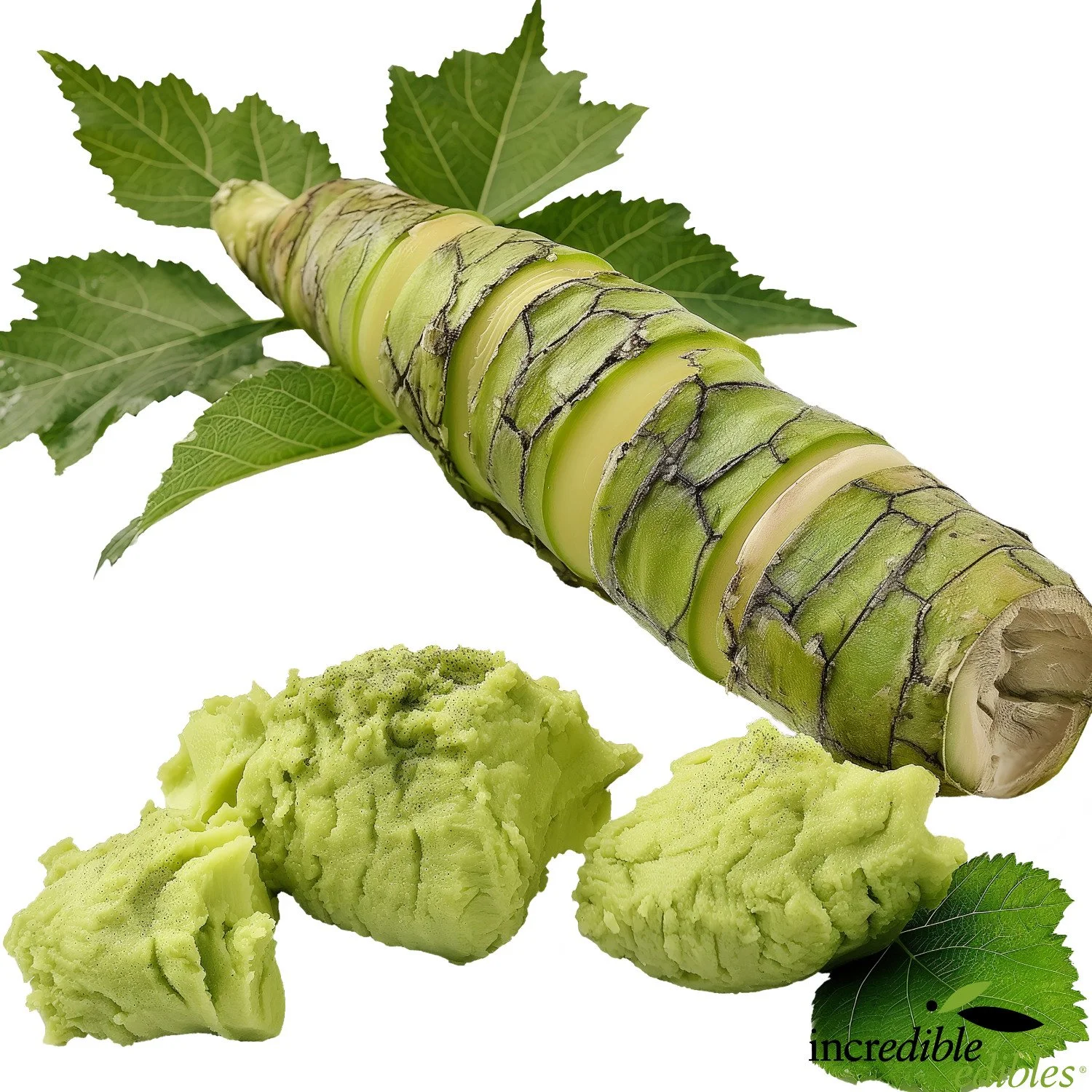 Wasabi paste.jpg