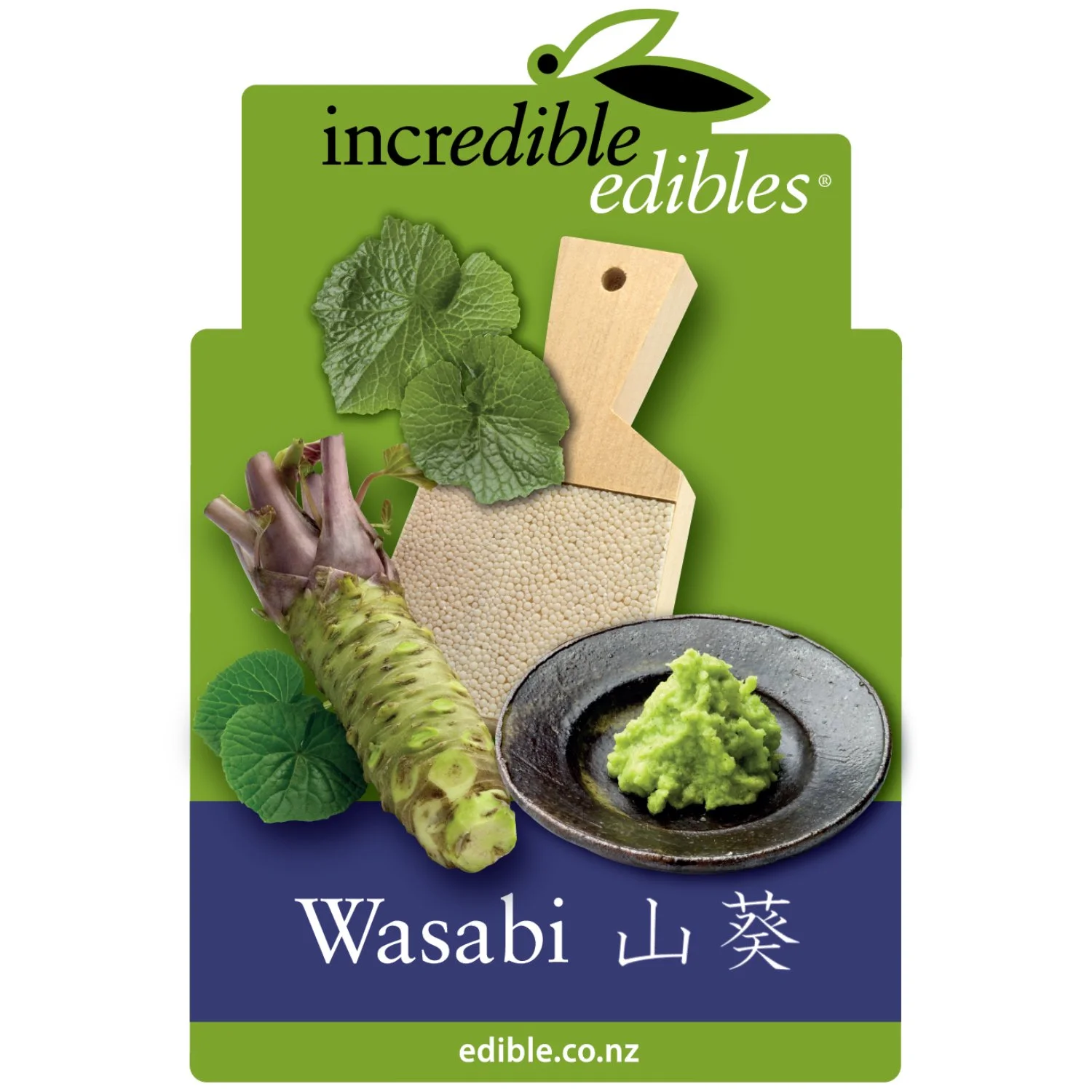 Wasabi