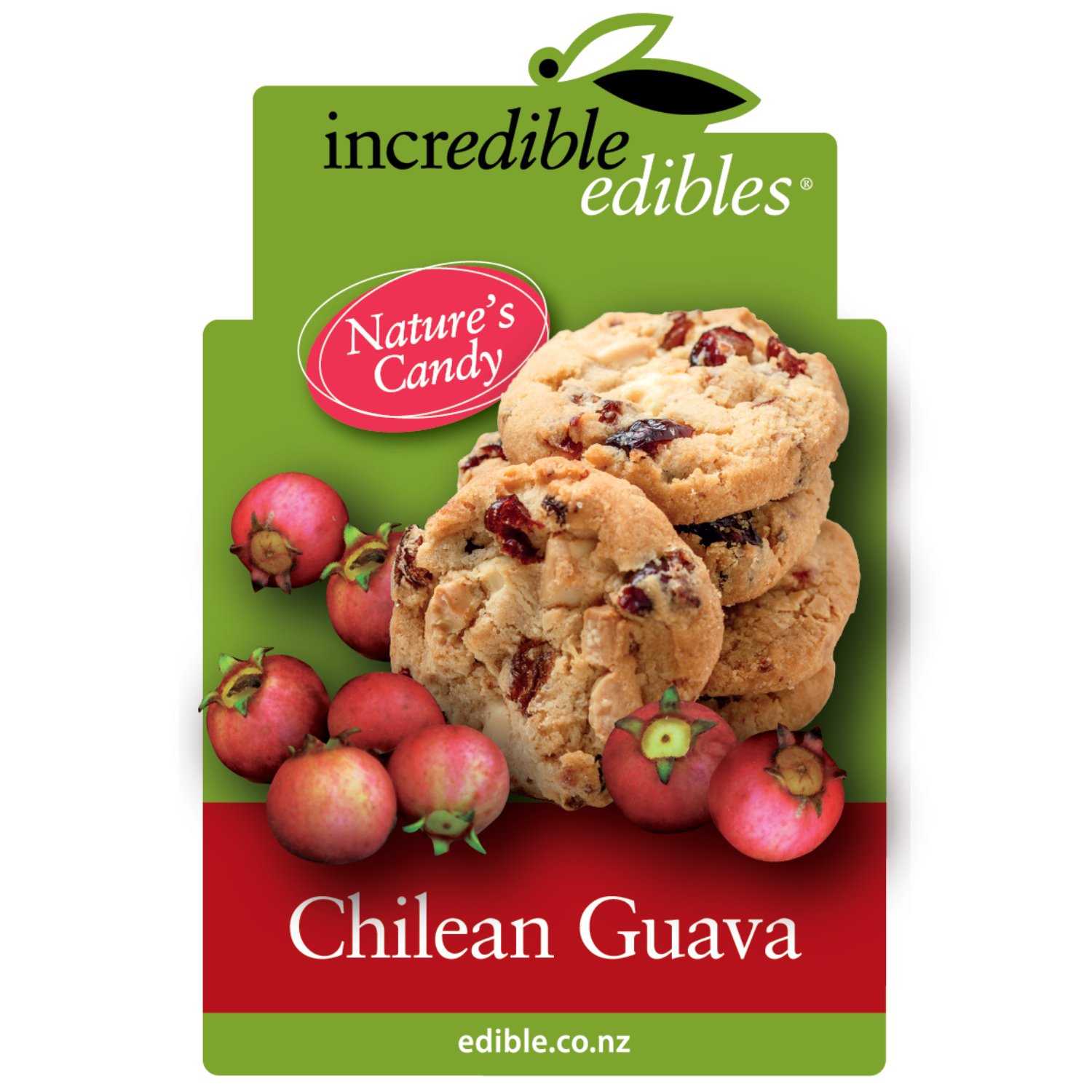 Chilean Guava