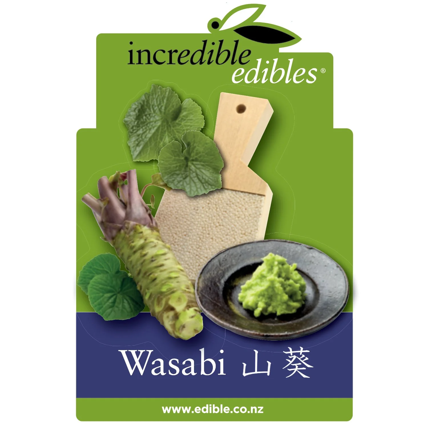 Wasabi