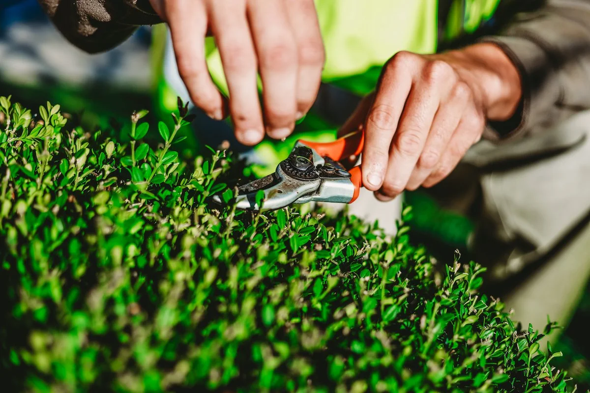 Commercial Landscaping in Delaware, Franklin County OH — Proscape Lawn