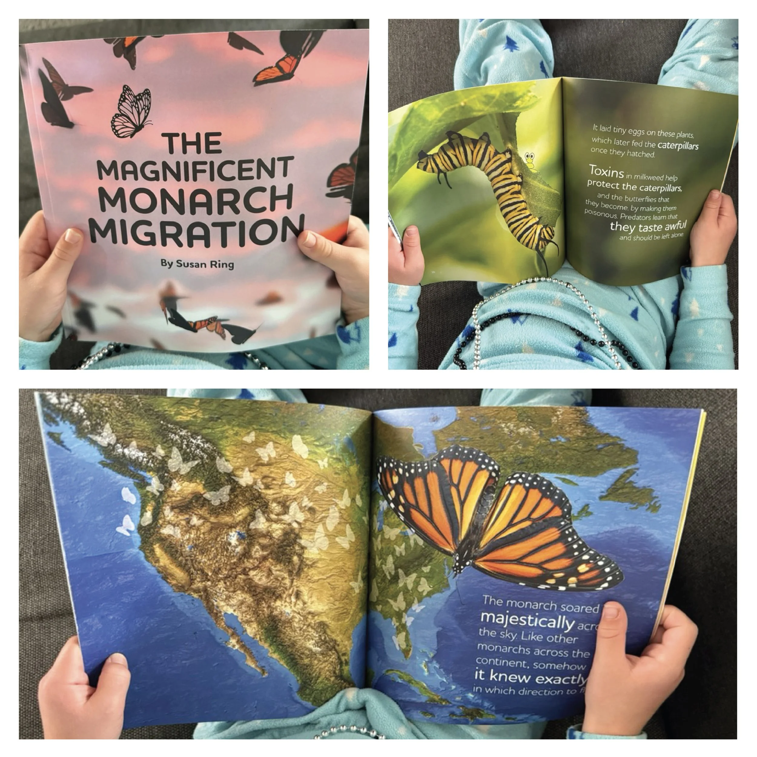 Go buy one today!
https://www.amazon.com/Magnificent-Monarch-Migration-Susan-Ring/dp/B0CNRHB7LB