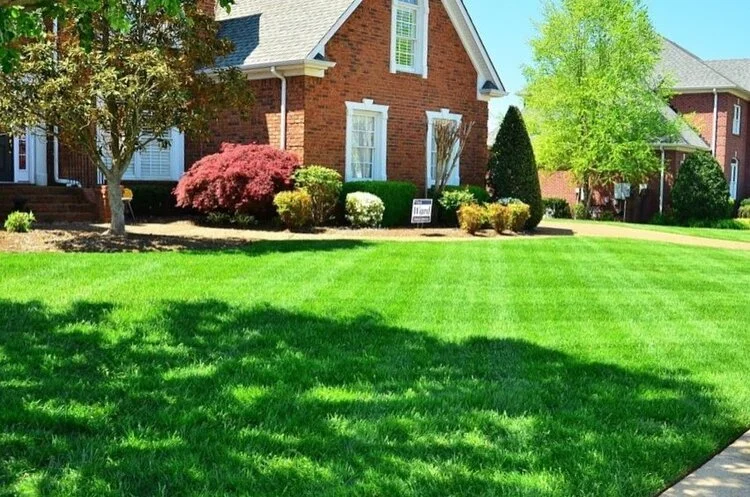 Dethatching in New Windsor, NY