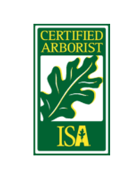 ISA certified arborist - landscaping in Lagrangeville, NY