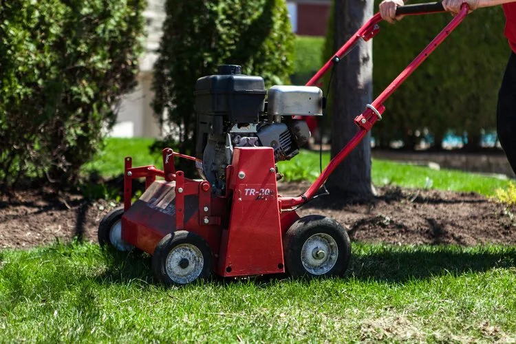 Core aeration and overseeding in Verbank, NY