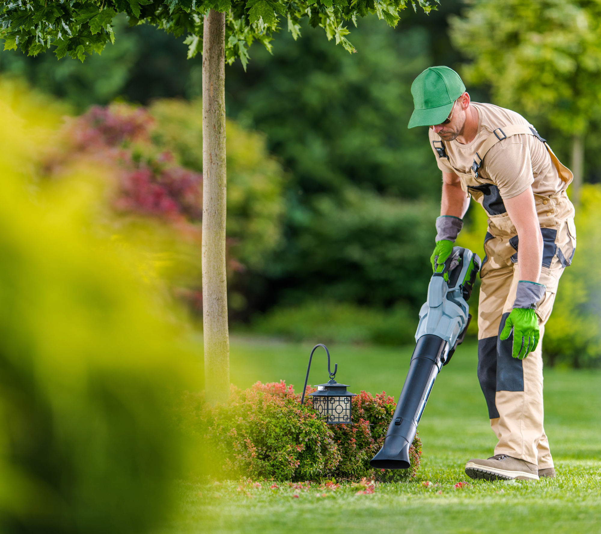 Spring and Fall Cleanups in Millbrook, NY