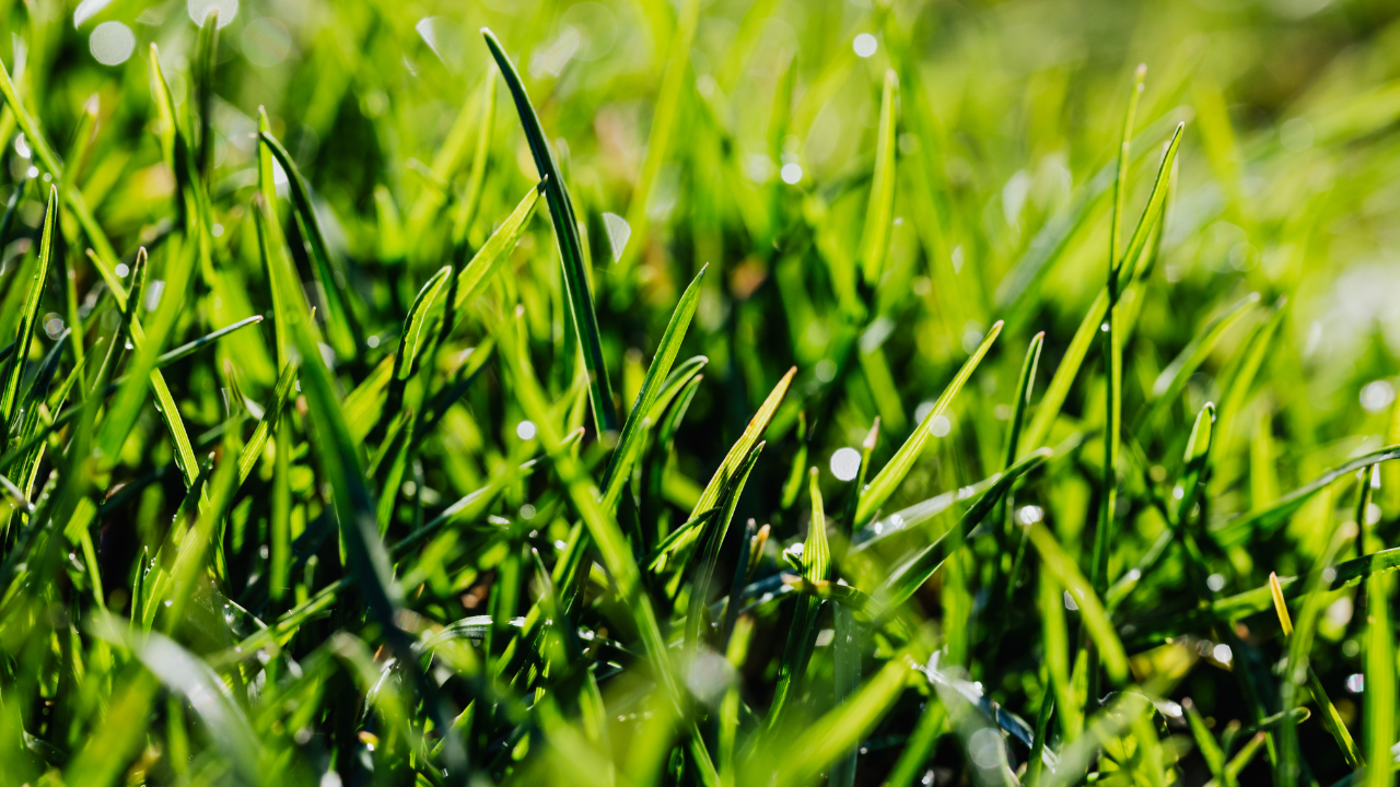 Residential landscape maintenance experts in Beacon, NY