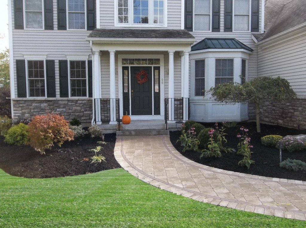 Top Lawn Care Problems (get your beautiful, lush, green lawn back!)