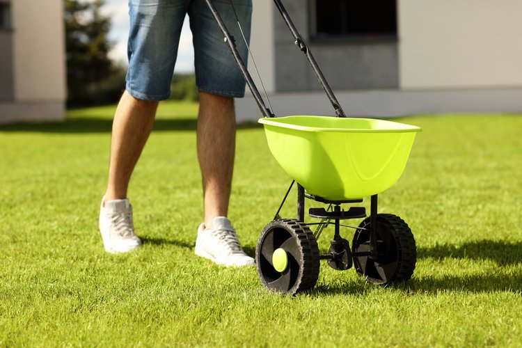 Why Spring Is the Best Time for Lawn Fertilizer Service in Hopewell Junction, NY