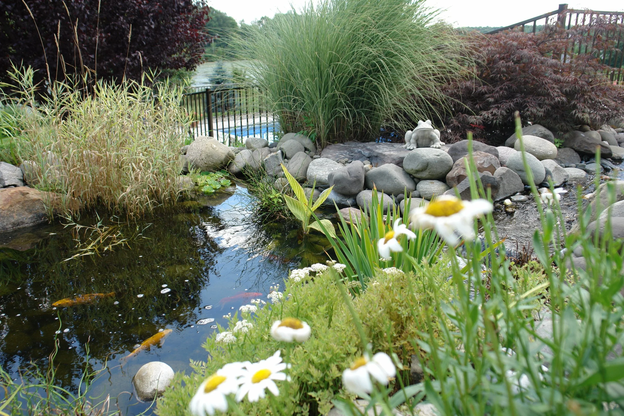 Copy of 5 - DSC05811.JPG