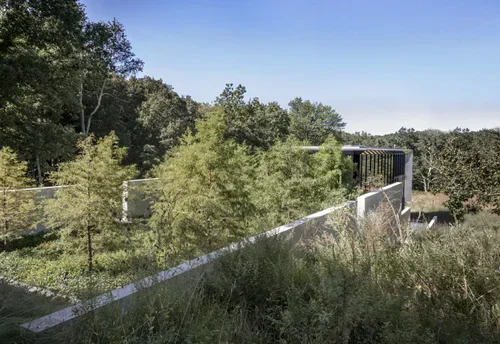 Meadow Pavillion 5.webp
