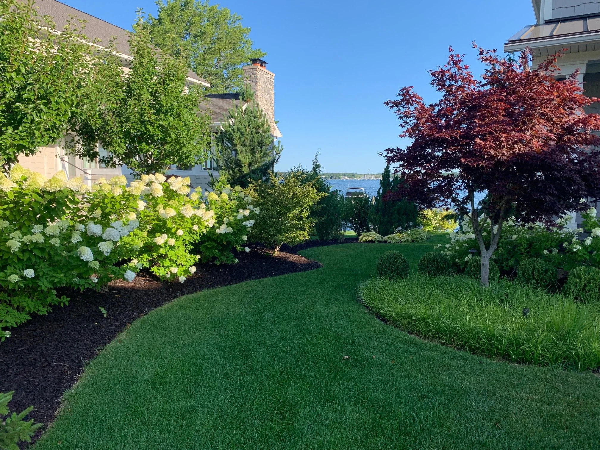 Expert Tree Pruning Services in Ada, MI