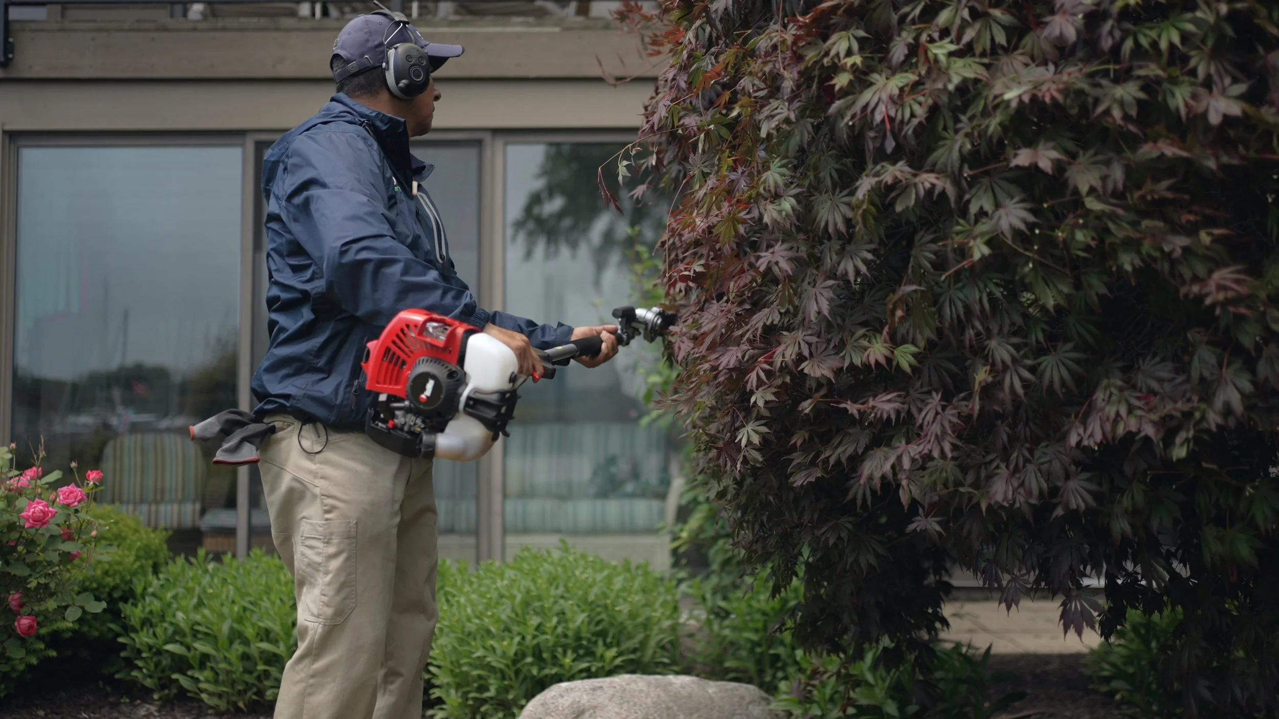 Seasonal Tree Pruning and Trimming in Cascade, MI
