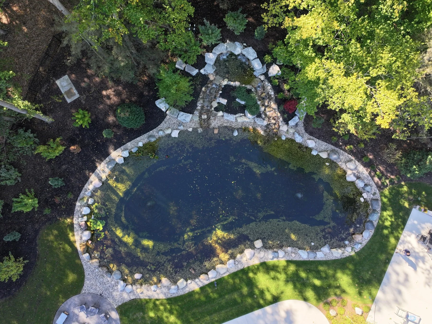 Pond installation in Holland, MI