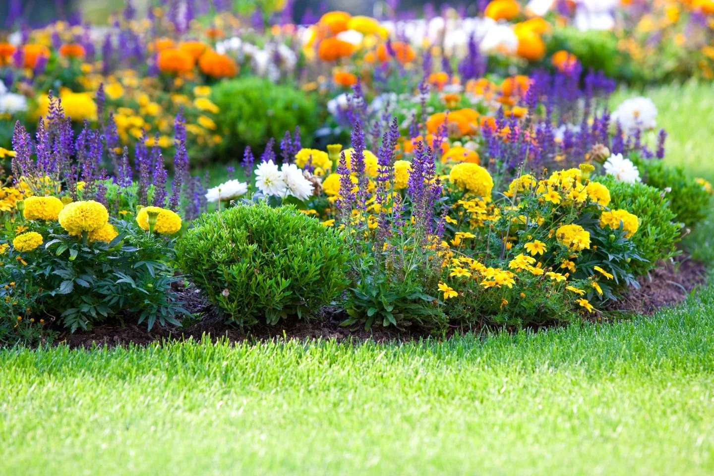 Seasonal Planting Services Enhancing Commercial Landscapes in Ottawa County, MI