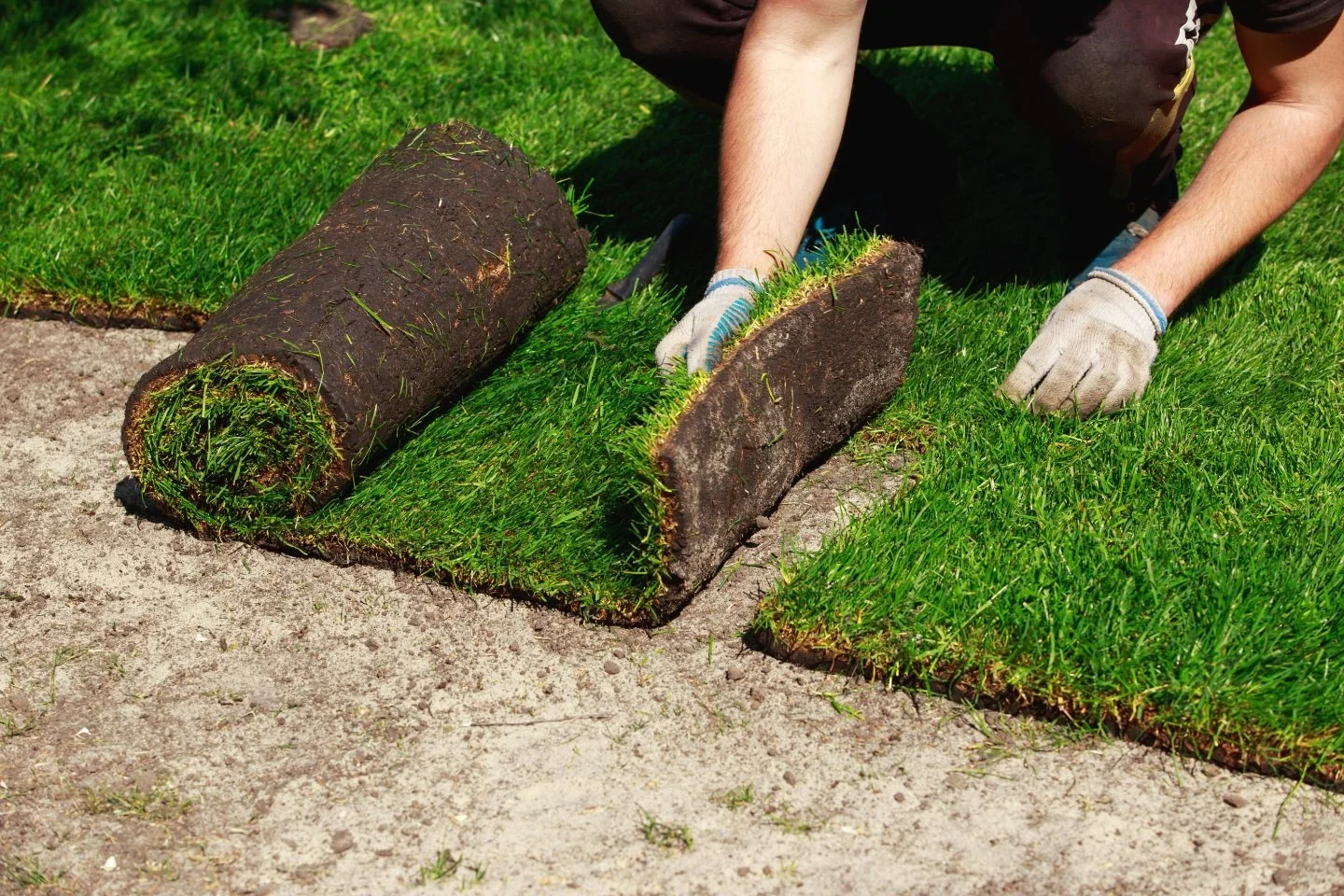 Expert Commercial Sod Installation Creating Lush Green Spaces in Allegan County, MI