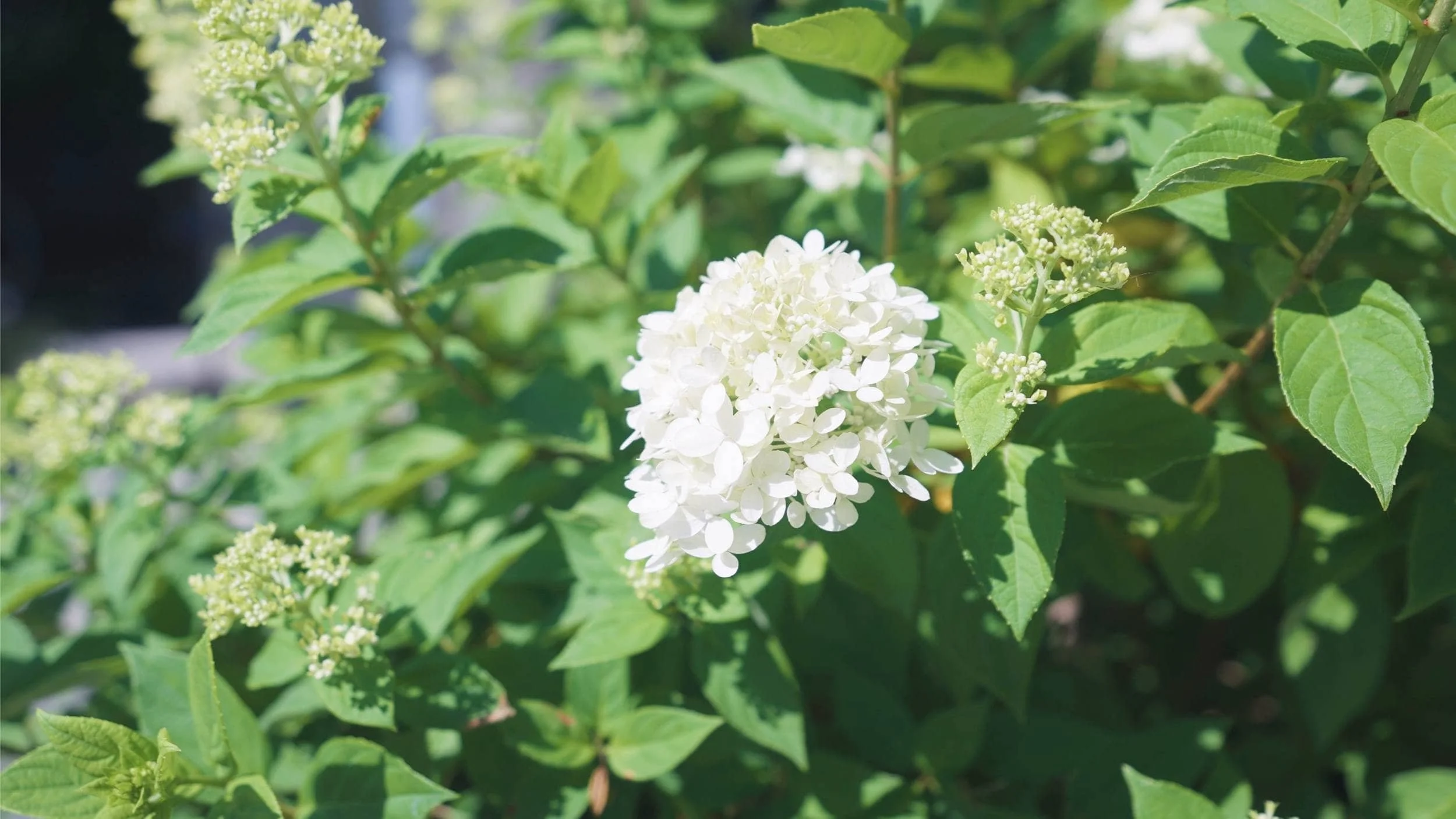 Fire Pit Patio With Lake Views and Warm Lighting in Port Sheldon, MI