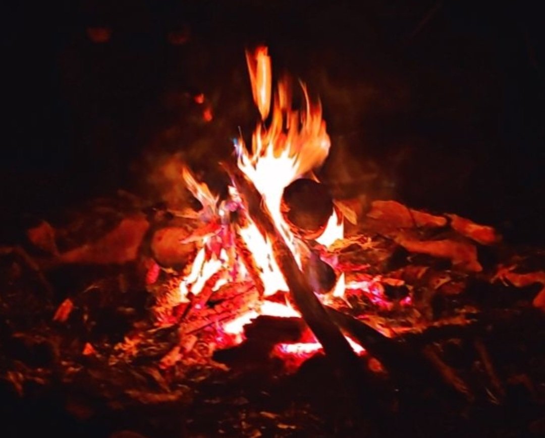 Late Night on the Farm