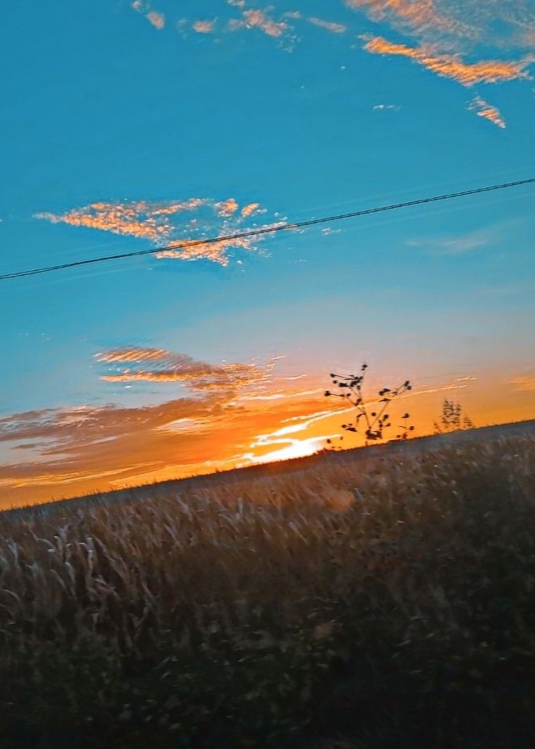 Late Night on the Farm