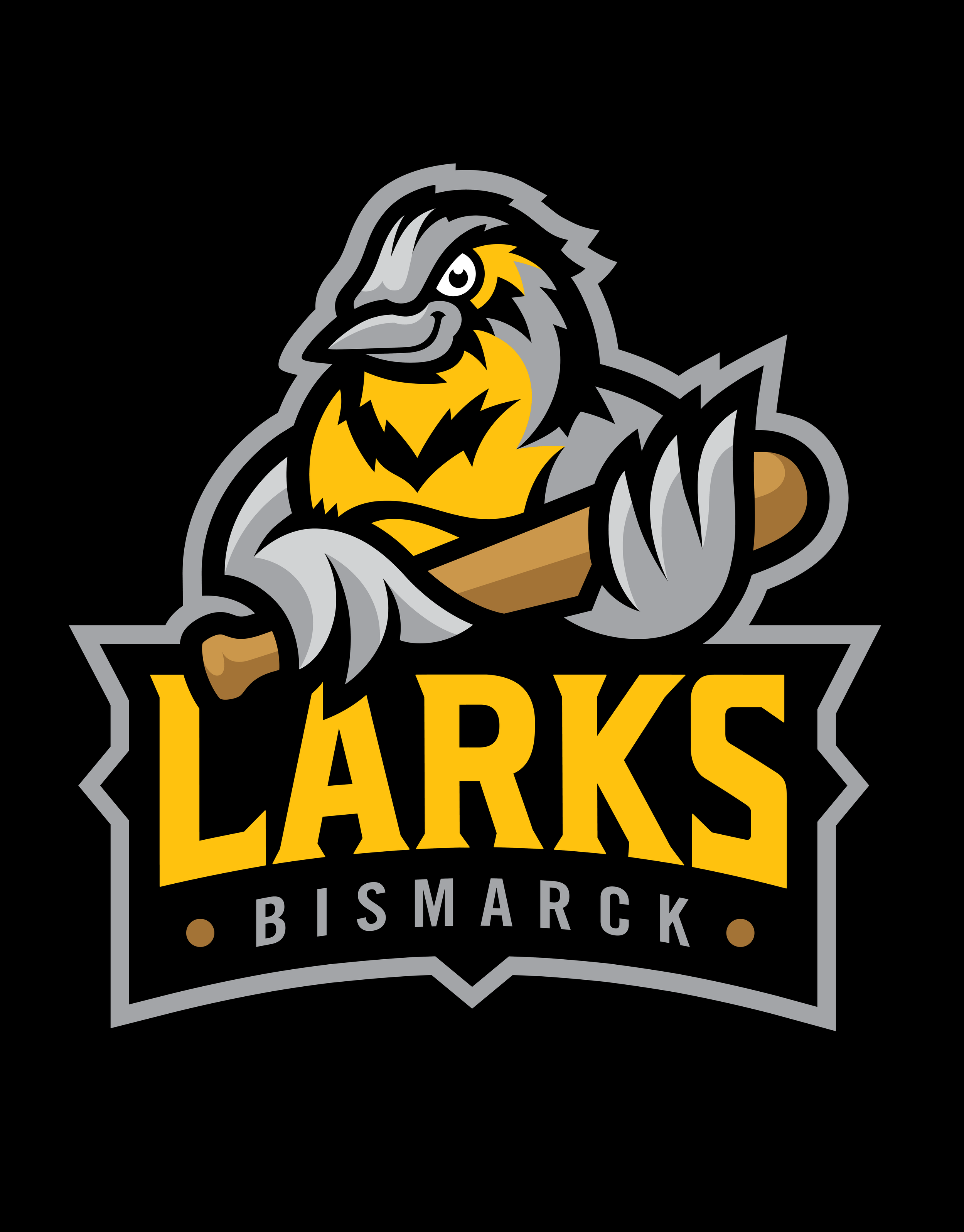Bismarck Larks Baseball — Worthen Design