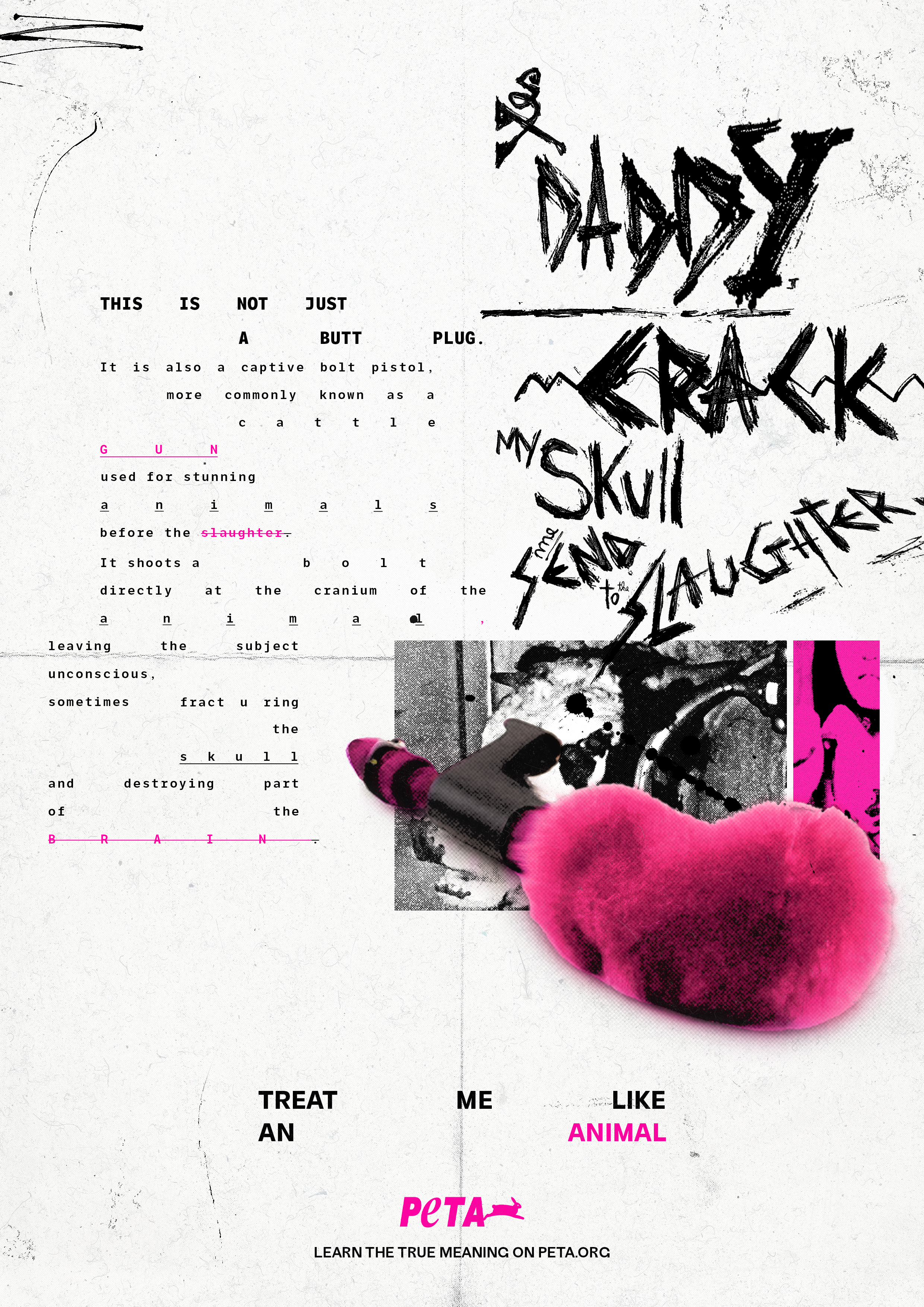 YoungOnes-PETA_buttplug.png