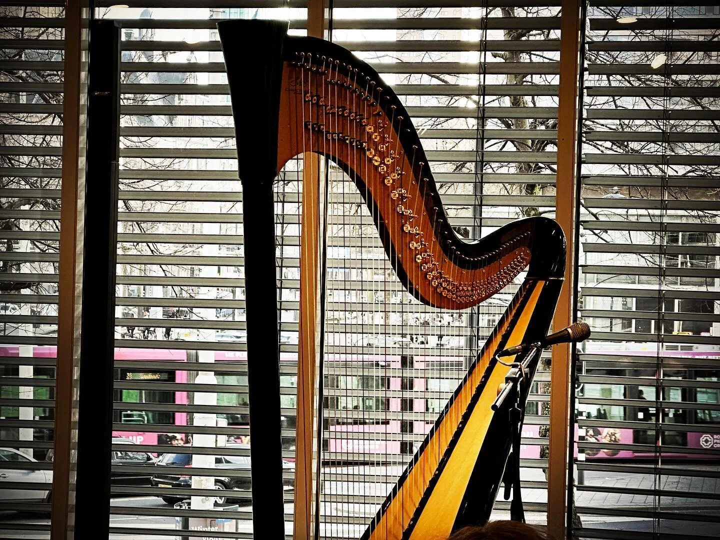 Harp muziek van Wieke Garc&iacute;a klinken voorbij het Hofplein