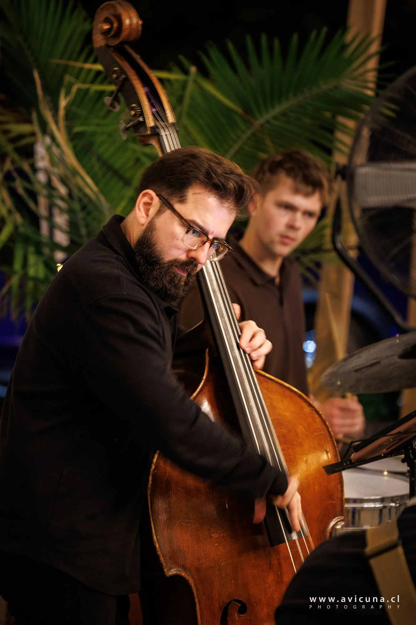 Alex Tremblay Trio by AVicuna 2