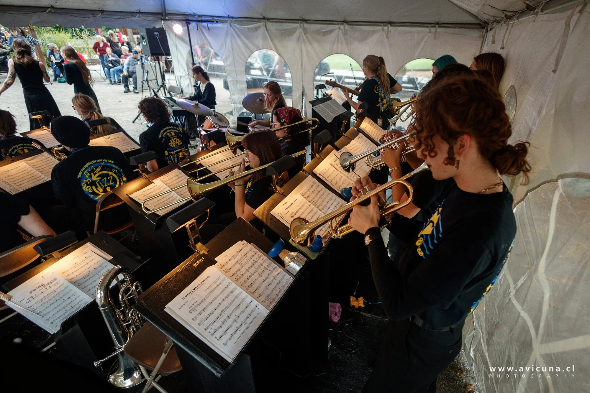 Smith Jazz Ensemble by AVicuna 2