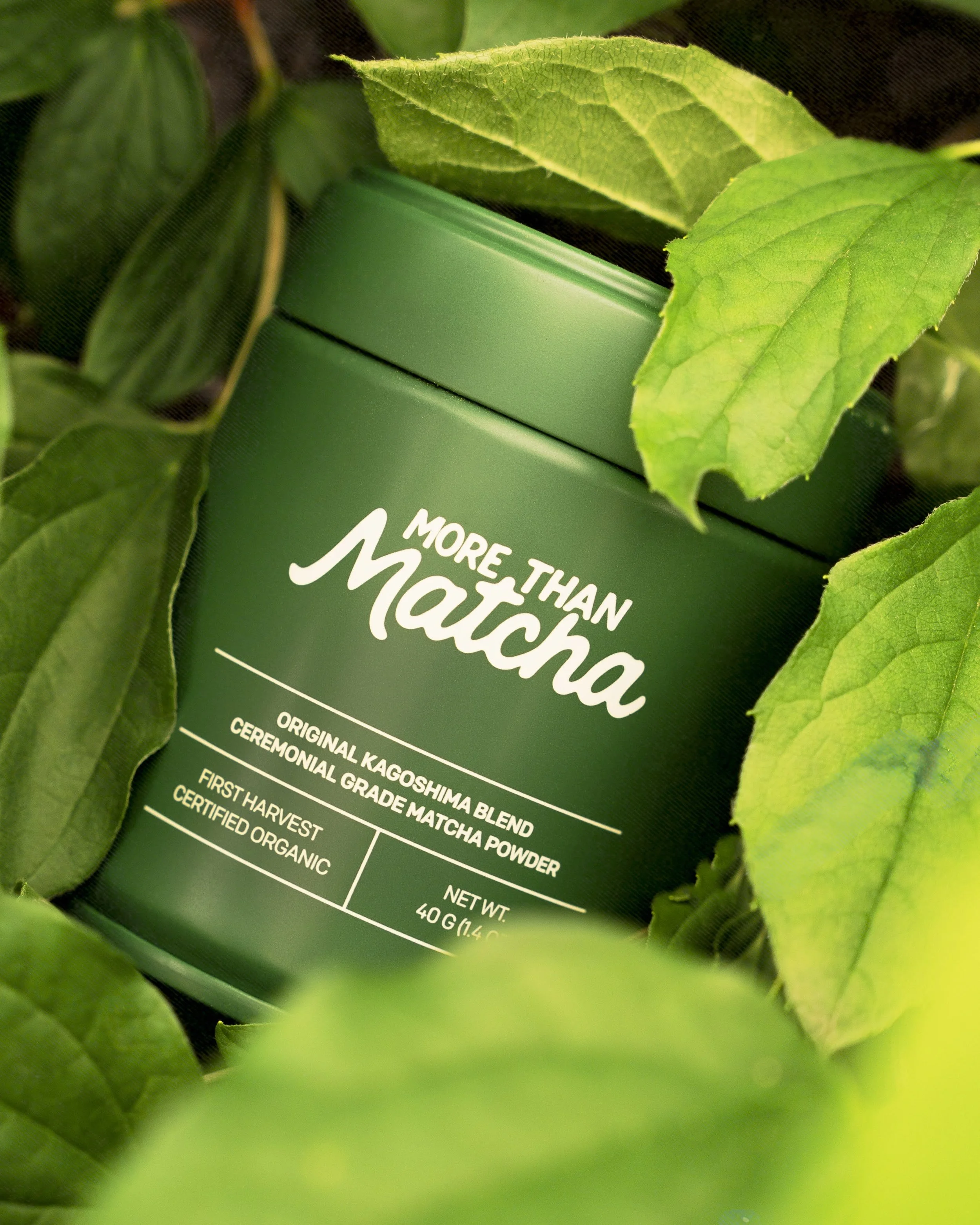 More Than Matcha 2026