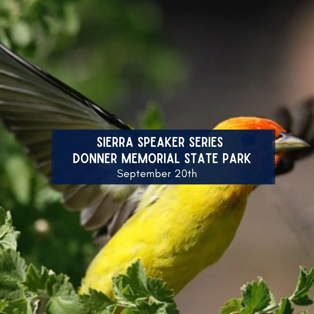 Sierra Speaker Series: Tahoe Animal Movement and Migration