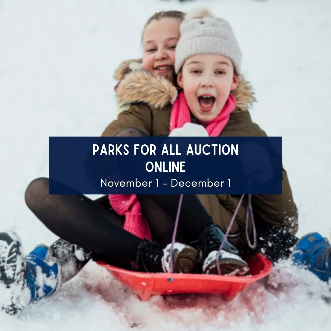 Parks For All Holiday Auction