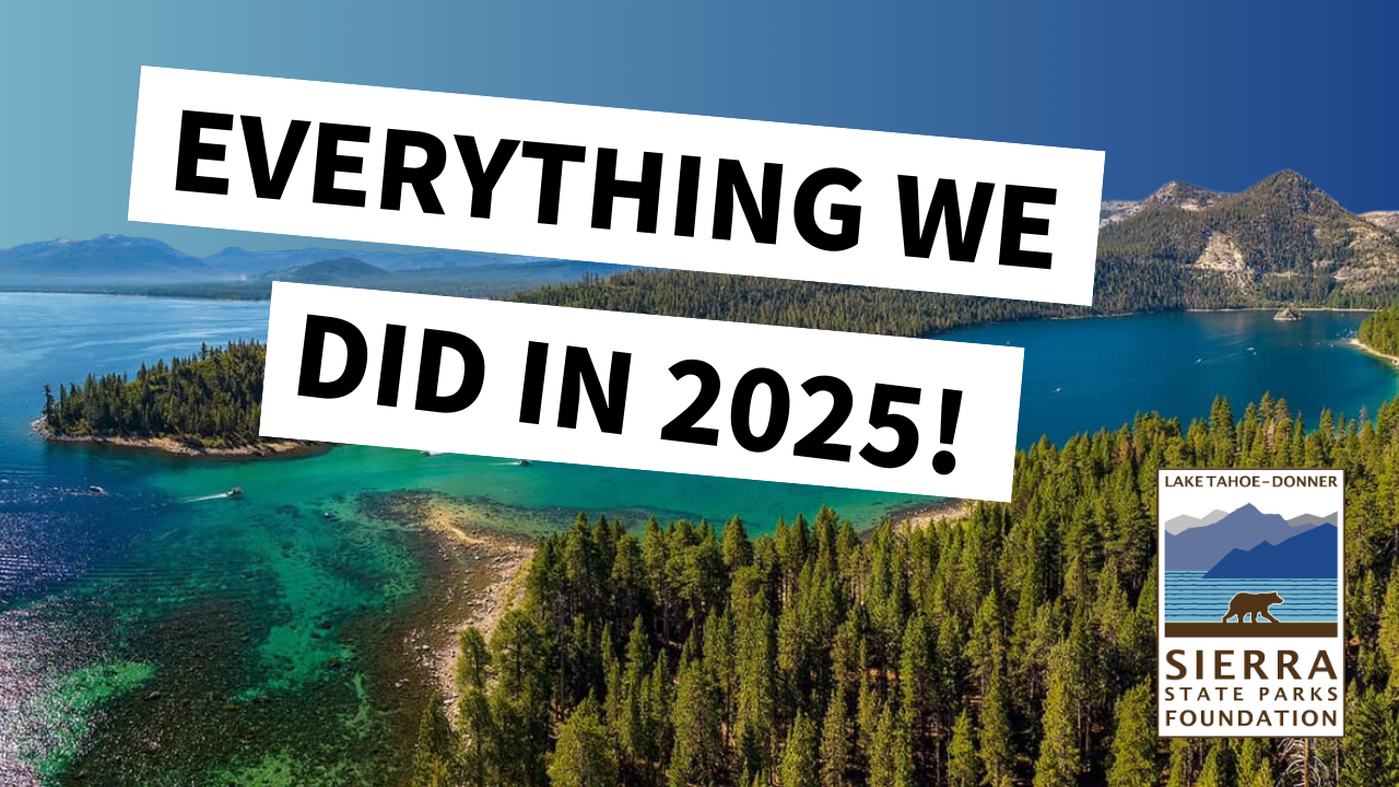 Everything We’ve Accomplished in 2025